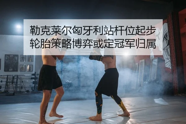 lei-ke-lai-er-xiong-ya-li-zhan-gan-wei-qi-bu-lun-tai-ce-lve-bo-yi-huo-ding-guan-jun-gui-shu-2-784.jpg