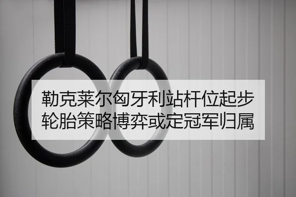 勒克莱尔匈牙利站杆位起步 轮胎策略博弈或定冠军归属